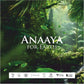 Anaaya Revitalizing Body Yogurt | Lavish Lavender | Instant Absorb, Deep Penetrate, Light Weight and Non Sticky 200ml